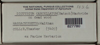 Image Associated With the Occurence